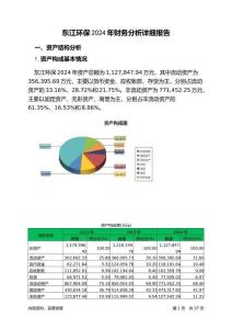 東江環(huán)保2024年財(cái)務(wù)分析詳細(xì)報(bào)告