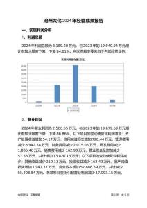 滄州大化2024年經(jīng)營成果報告