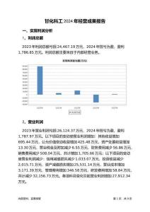 甘化科工2024年經營成果報告