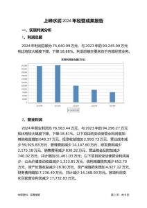 上峰水泥2024年經營成果報告