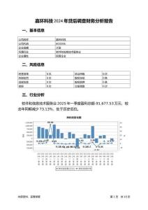 嘉環科技2024年貸后調查財務分析報告