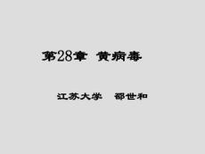 第28章 黃病毒