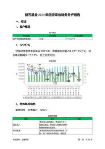 磐石基業(yè)2024年信貸審批財(cái)務(wù)分析報(bào)告