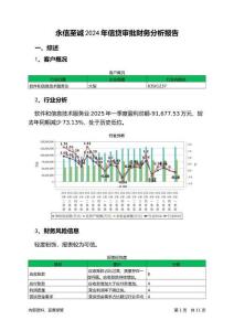 永信至誠2024年信貸審批財務(wù)分析報告