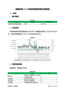 圣泰材料2024年信貸審批財(cái)務(wù)分析報(bào)告