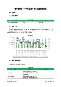 中科智易2024年信貸審批財(cái)務(wù)分析報(bào)告