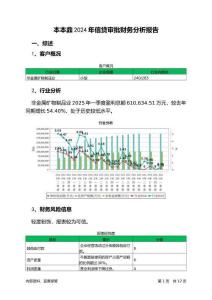 本本鼎2024年信貸審批財(cái)務(wù)分析報(bào)告
