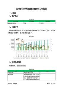 吉邦士2024年信貸審批財(cái)務(wù)分析報(bào)告