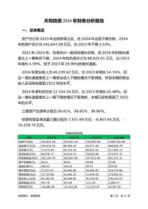 天和防務(wù)2024年財(cái)務(wù)分析報(bào)告-銀行版
