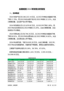 絲路視覺2024年財務分析報告-銀行版