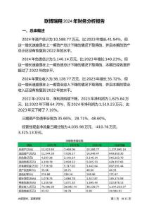 聯(lián)博瑞翔2024年財務(wù)分析報告-銀行版