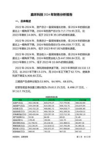 嘉環(huán)科技2024年財(cái)務(wù)分析報(bào)告-銀行版