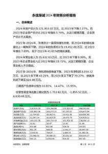 永信至誠2024年財務(wù)分析報告-銀行版