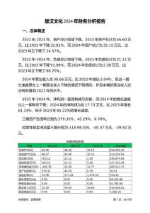 星漢文化2024年財務分析報告-銀行版