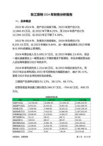 東江菲特2024年財務(wù)分析報告-銀行版