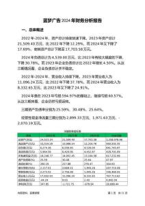 藍(lán)夢(mèng)廣告2024年財(cái)務(wù)分析報(bào)告-銀行版