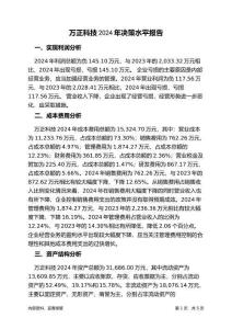 萬(wàn)正科技2024年決策水平分析報(bào)告
