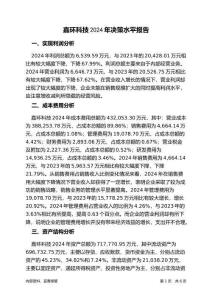 嘉環(huán)科技2024年決策水平分析報(bào)告