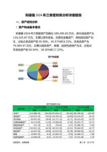 利德曼2024年三季度財務分析詳細報告