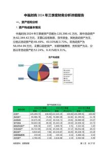 中胤時(shí)尚2024年三季度財(cái)務(wù)分析詳細(xì)報(bào)告