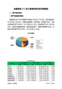 絲路視覺2024年三季度財務分析詳細報告