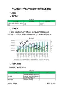 華天科技2024年三季度信貸審批財(cái)務(wù)分析報(bào)告