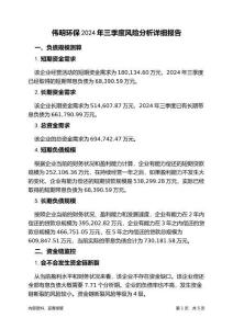 偉明環(huán)保2024年三季度財務風險分析詳細報告