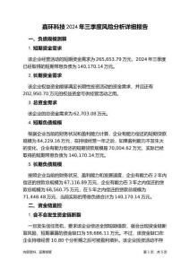 嘉環(huán)科技2024年三季度財(cái)務(wù)風(fēng)險(xiǎn)分析詳細(xì)報(bào)告