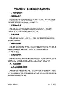 中胤時(shí)尚2024年三季度財(cái)務(wù)風(fēng)險(xiǎn)分析詳細(xì)報(bào)告