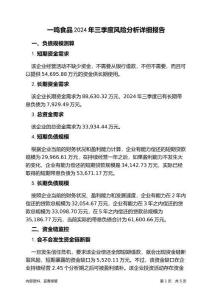 一鳴食品2024年三季度財務風險分析詳細報告