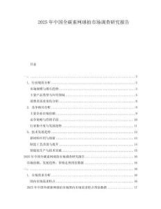 2025年中國全碳素網球拍市場調查研究報告