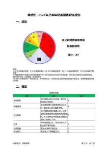 寒武紀-U2024年上半年財務報表粉飾報告