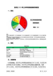 吉邦士2024年上半年財(cái)務(wù)報(bào)表粉飾報(bào)告