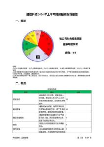 威控科技2024年上半年財(cái)務(wù)報(bào)表粉飾報(bào)告