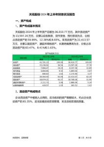 天佑股份2024年上半年財務狀況報告