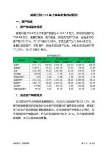威麥云健2024年上半年財務狀況報告