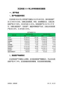 萬正科技2024年上半年財務狀況報告