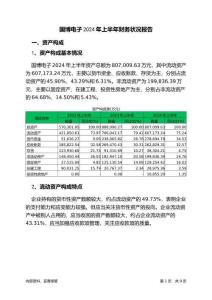 國博電子2024年上半年財務狀況報告