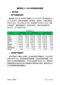威控科技2024年上半年財(cái)務(wù)狀況報(bào)告