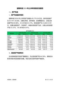 波斯科技2024年上半年財(cái)務(wù)狀況報(bào)告
