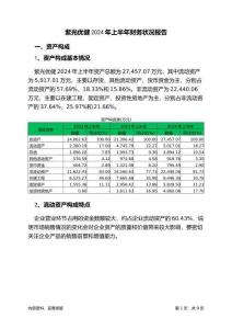 紫光優(yōu)健2024年上半年財(cái)務(wù)狀況報(bào)告