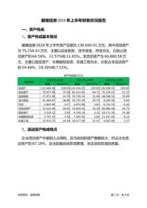健麾信息2024年上半年財(cái)務(wù)狀況報(bào)告