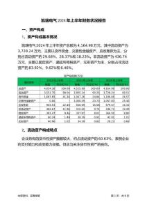 凱瑞電氣2024年上半年財(cái)務(wù)狀況報(bào)告
