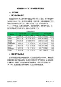 威勝信息2024年上半年財(cái)務(wù)狀況報(bào)告
