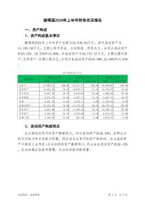 健博通2024年上半年財(cái)務(wù)狀況報(bào)告