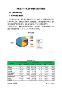天和盛2024年上半年財務分析詳細報告