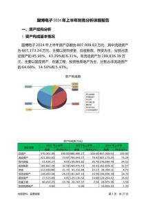 國博電子2024年上半年財務(wù)分析詳細(xì)報告