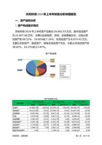 天和環保2024年上半年財務分析詳細報告