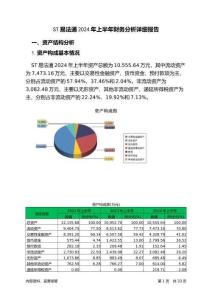 ST易法通2024年上半年財(cái)務(wù)分析詳細(xì)報(bào)告