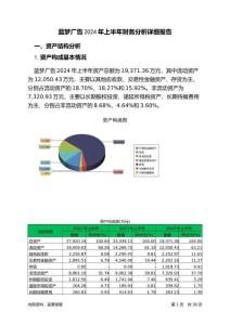 藍(lán)夢廣告2024年上半年財務(wù)分析詳細(xì)報告